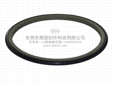 軸用旋轉格萊圈DRS 軸用旋轉格萊圈DRS