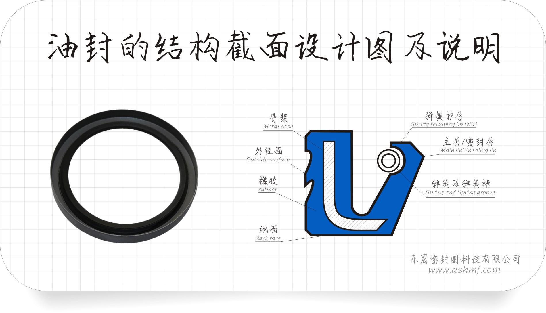 骨架油封的結構各位術語介紹圖 骨架油封的結構各位術語介紹圖