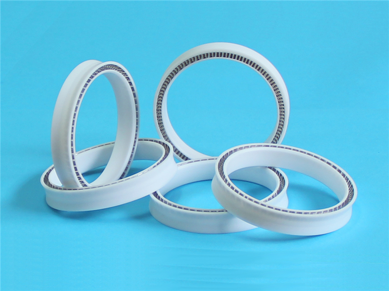 密封圈，泛塞封