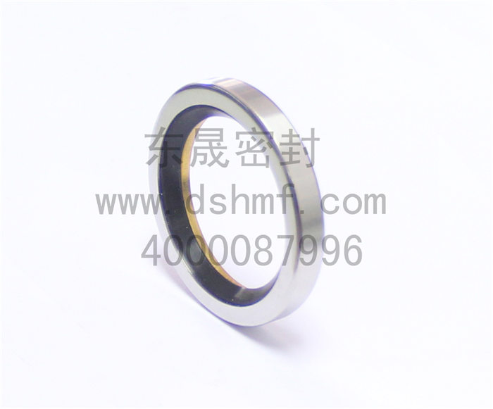 不銹鋼油封密封件產品 不銹鋼油封密封件產品