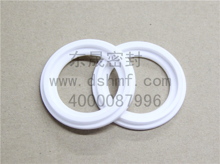 陶瓷密封件，密封圈