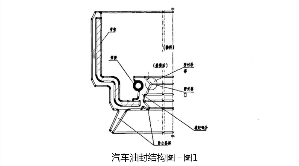 汽車油封結構圖