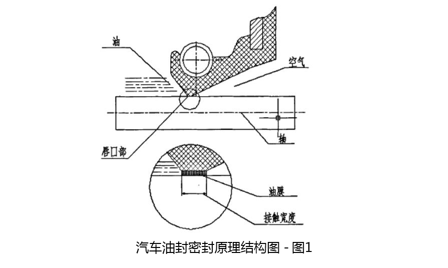 汽車油封密封原理結構圖