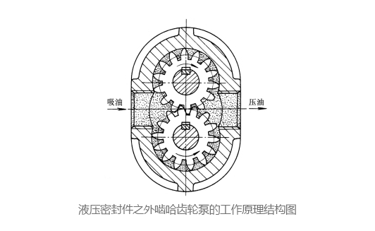 液壓密封件之外嚙哈齒輪泵的工作原理結構圖