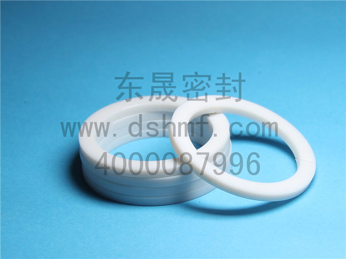 輔助密封件產品，擋圈