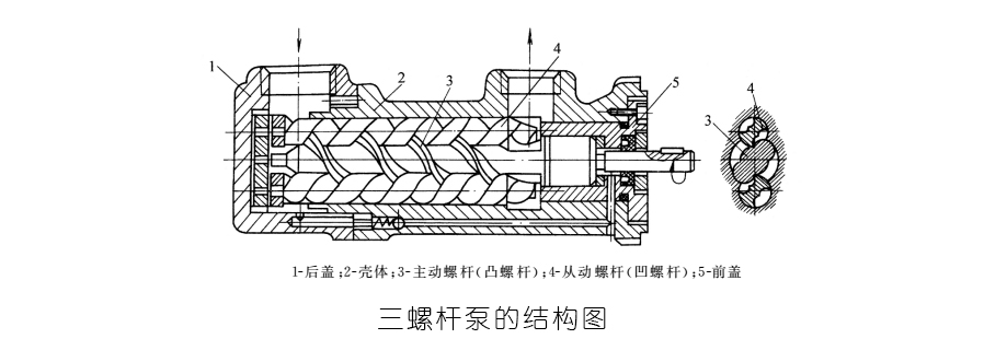 液壓密封件之三螺桿泵的結構圖
