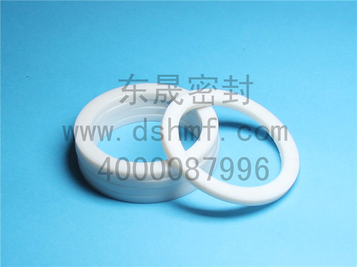 PTFE，墊片，密封件產品
