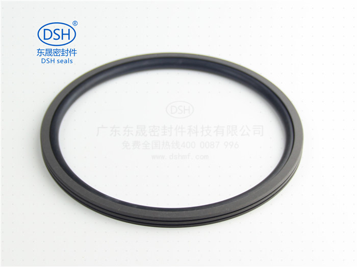 孔用旋轉格萊圈DN