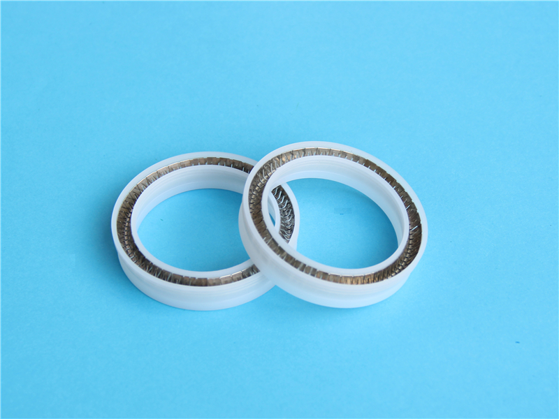 聚四氟乙烯，PTFE，密封件，泛塞封，產品