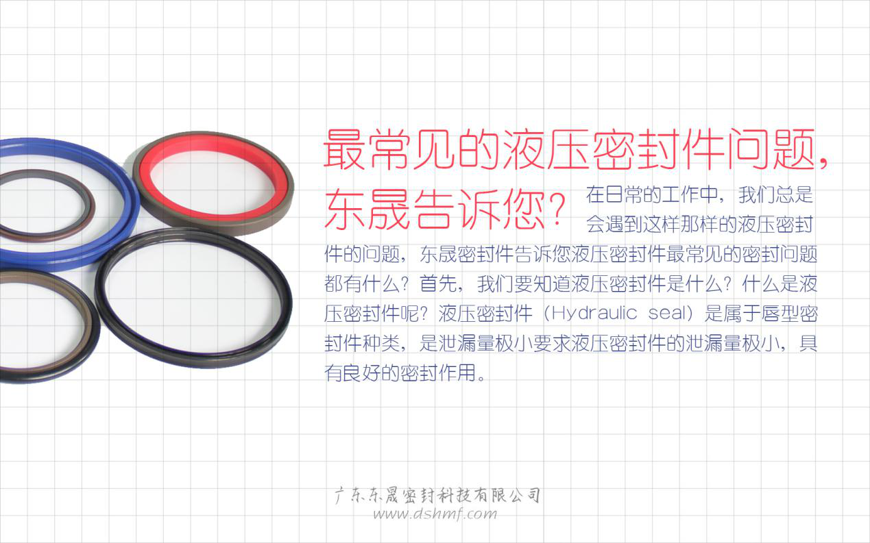 （二）液壓密封件的常見問題解答？