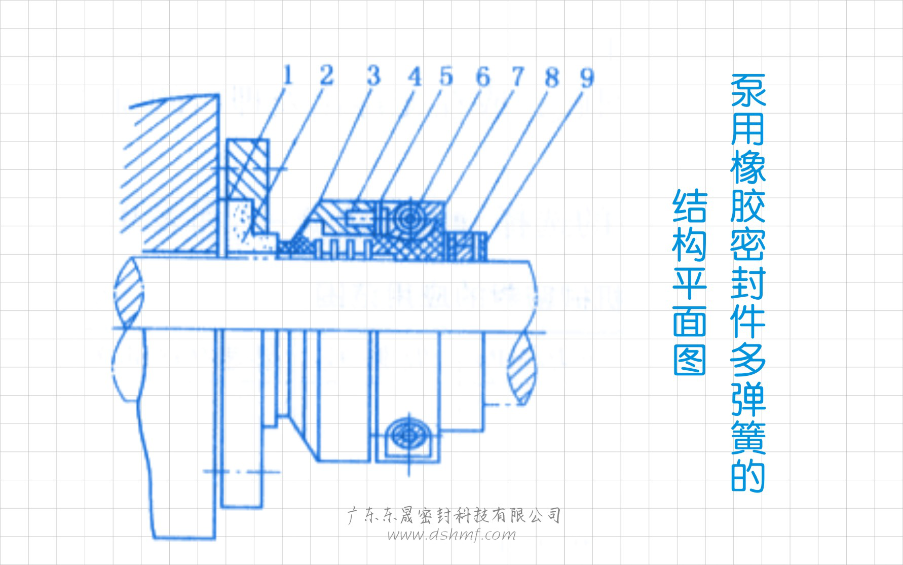 泵用橡膠密封件多彈簧的結構平面圖