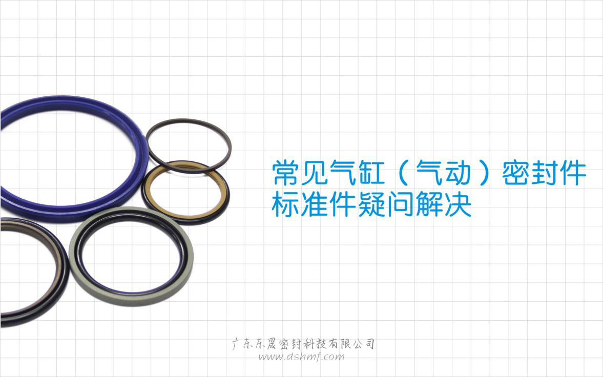 常見氣缸（氣動）密封件標準件疑問解決？