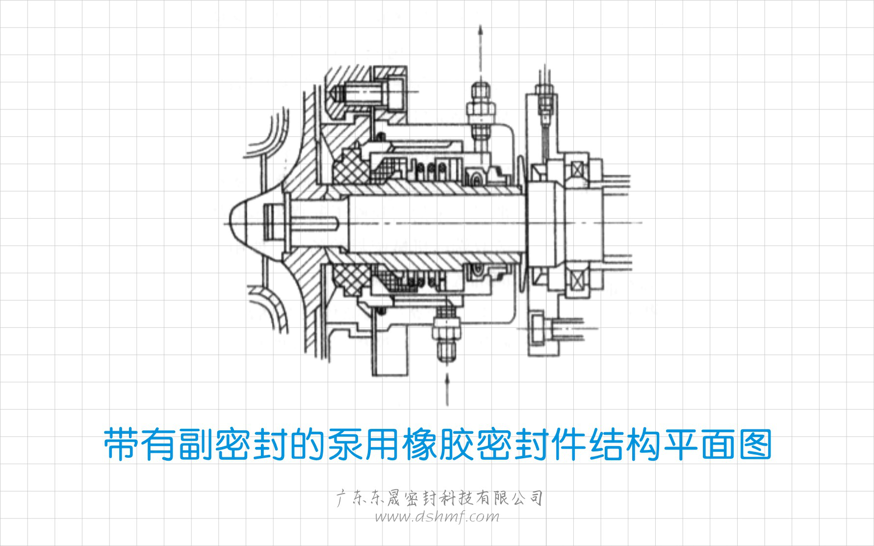 帶有副密封的泵用橡膠密封圈結構平面圖
