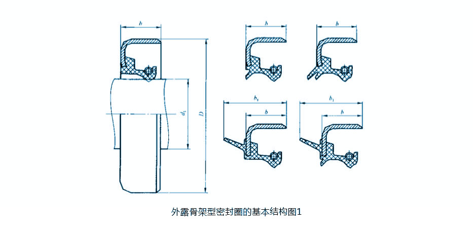 外露骨架型密封圈（油封）