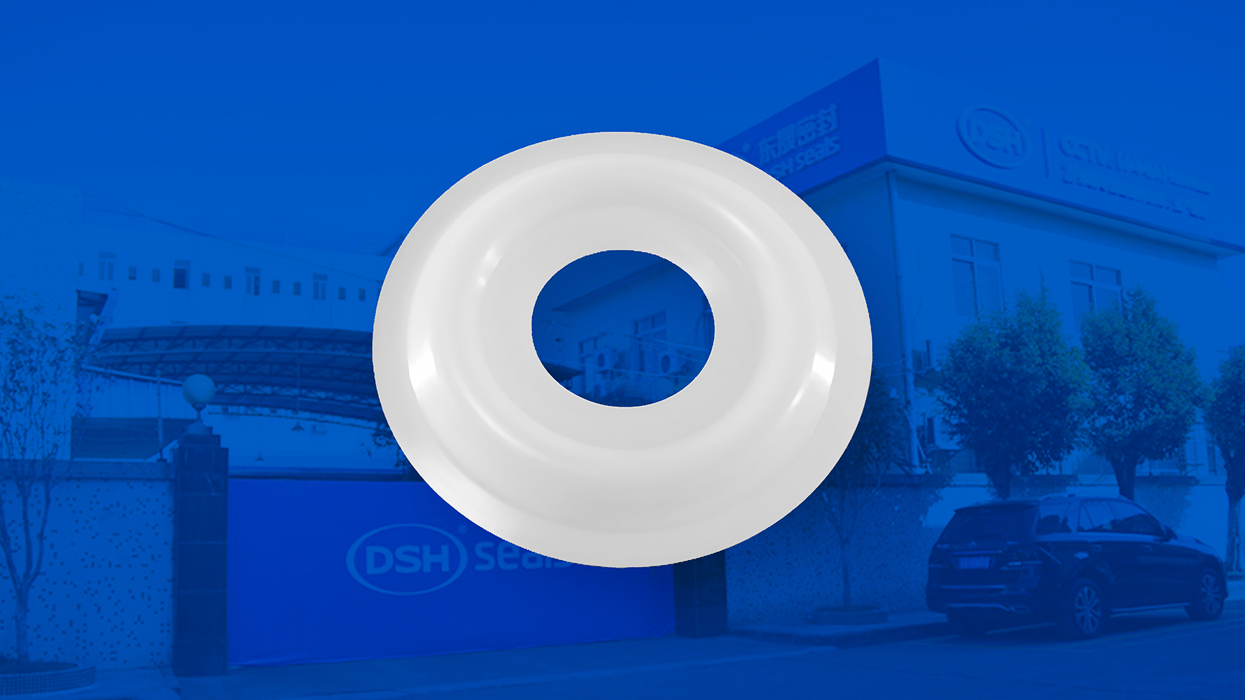 米頓羅計量泵膜片 （又叫隔膜、密封件、密封圈、油封） (2)