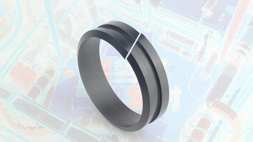 軸用帶刮唇導向環DFAI 導向套 (6)唇型密封圈