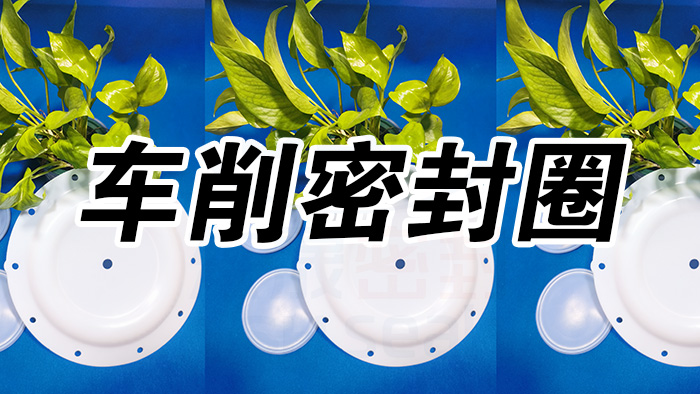 2車削密封圈，氣動隔膜泵膜片密封件