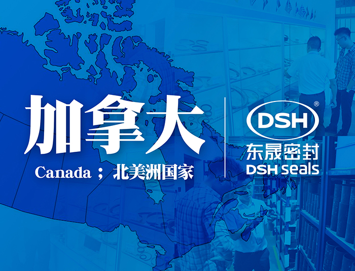 【圖】加拿大石油天然氣行業客戶來訪東晟密封件公司參觀指導工作！