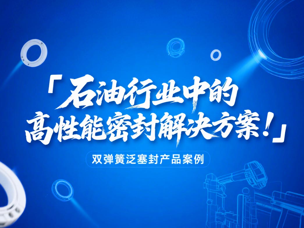 ?雙彈簧泛塞封產品案例 ? 石油行業中的高性能密封解決方案！?