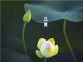 立夏已至，萬物向陽；