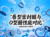 唇型密封圈與O型圈密封性能對比分析?。? /></a>
        <dt><span>2025-05-30</span><a href=