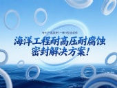專利產品案例 ? 一種H型油封件：海洋工程耐高壓耐腐蝕的密封解決方案！